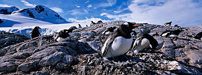 Fami通新作评分公布：《咚奇刚：蕉力全开》38分进入白金殿堂！