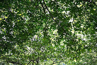 《天国：拯救2》16分钟DEMO试玩 2月4日发售